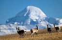 Great Tibet Tour logo