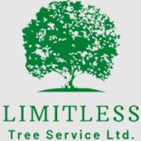 Limitless Tree Service image 1