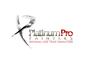 Platinum Pro Painters Inc. logo