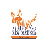 Belle vie de chien image 1