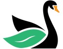 Black Swan Landscaping, Lawn Sprinklers & Lighting logo