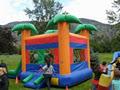Fun Zone Bouncy Castle and Inflatable Party & Event Rentals! - Kamloops, Kelowna, Vernon image 1