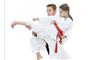 CanAm Karate Martial Arts logo