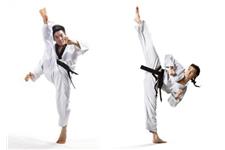 Saroughi International Taekwon-do Inc image 4