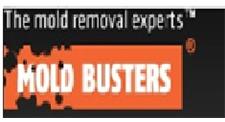 Mold Busters image 1