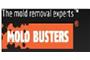 Mold Busters logo