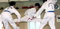 DSA Royal International Taekwondo (ITF) image 5