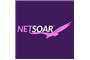 NetSoar logo