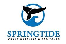 SpringTide Whale Tours & Charters image 1