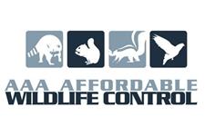 AAA Affordable Wildlife Control image 7
