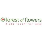Forest of Flowers image 1