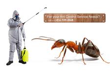 JDM Pest Control image 3