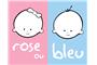 Rose ou Bleu logo