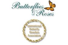 Butterflies & Roses image 2