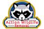 Action Wildlife Removal  logo