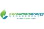 Consumers Energy Management logo