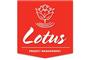Lotus Project Management logo