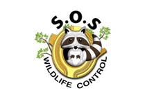 SOS Wildlife Control image 1