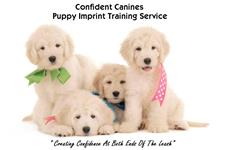Confident Canines image 1