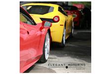 Elegant Motoring & Auto Spa image 7