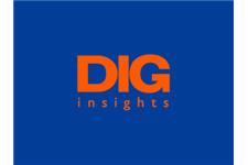 Dig Insights Inc. image 1