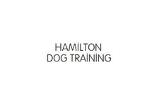 Hamilton Dog Training image 1