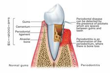 Key Dental Clinic image 8