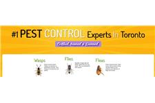 Pest Control in Toronto image 3
