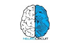 Neurocircuit image 1