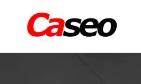 Caseo LTD - SEO Mississauga image 1