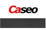 Caseo LTD - SEO Mississauga logo