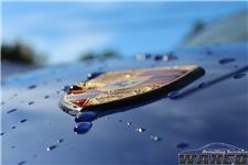 Waxed Detailing Services image 2