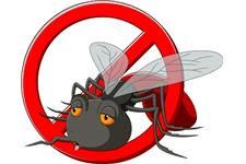 Pest Control Markham Exterminator image 5