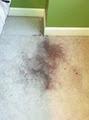 AAA Miracle Vancouver Carpet & Furnace cleaning image 1