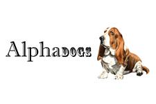 Alphadogs Toronto Dog Walking image 1
