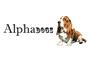 Alphadogs Toronto Dog Walking logo