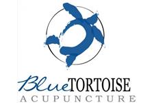 Blue Tortoise Acupuncture image 1