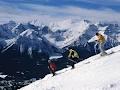 Banff Ski Hub image 2