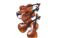Fiddleheads Violin Studio image 2