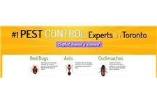 Pest Control in Toronto image 2