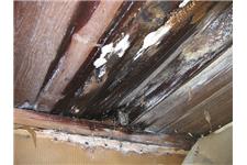 Mold Remediation Experts image 3