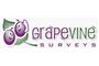 Grapevine Solutions logo