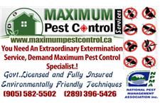 Maximum Pest Control image 2