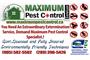 Maximum Pest Control logo