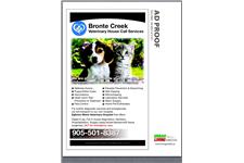 Bronte Creek Veterinary House Call Services image 1