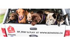 BowDog Canine Specialists image 4