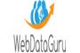 WebDataGuru logo