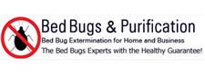 Bed Bug Purification image 1