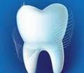 Neilson Dental Centre image 1