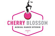 Cherry Blossom Aerial Dance Studio image 1